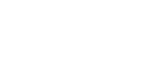 visco ekonomi vit logotyp